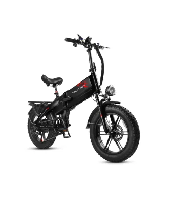 Електрическо колело Viktrip T6 